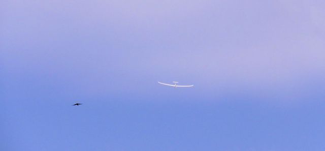 Luca Pancrazzi – Volare Nuvolare